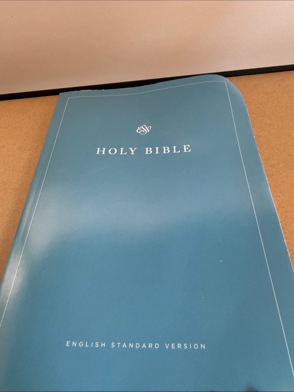English Standard Version Holy Bible - Teal Softcover
